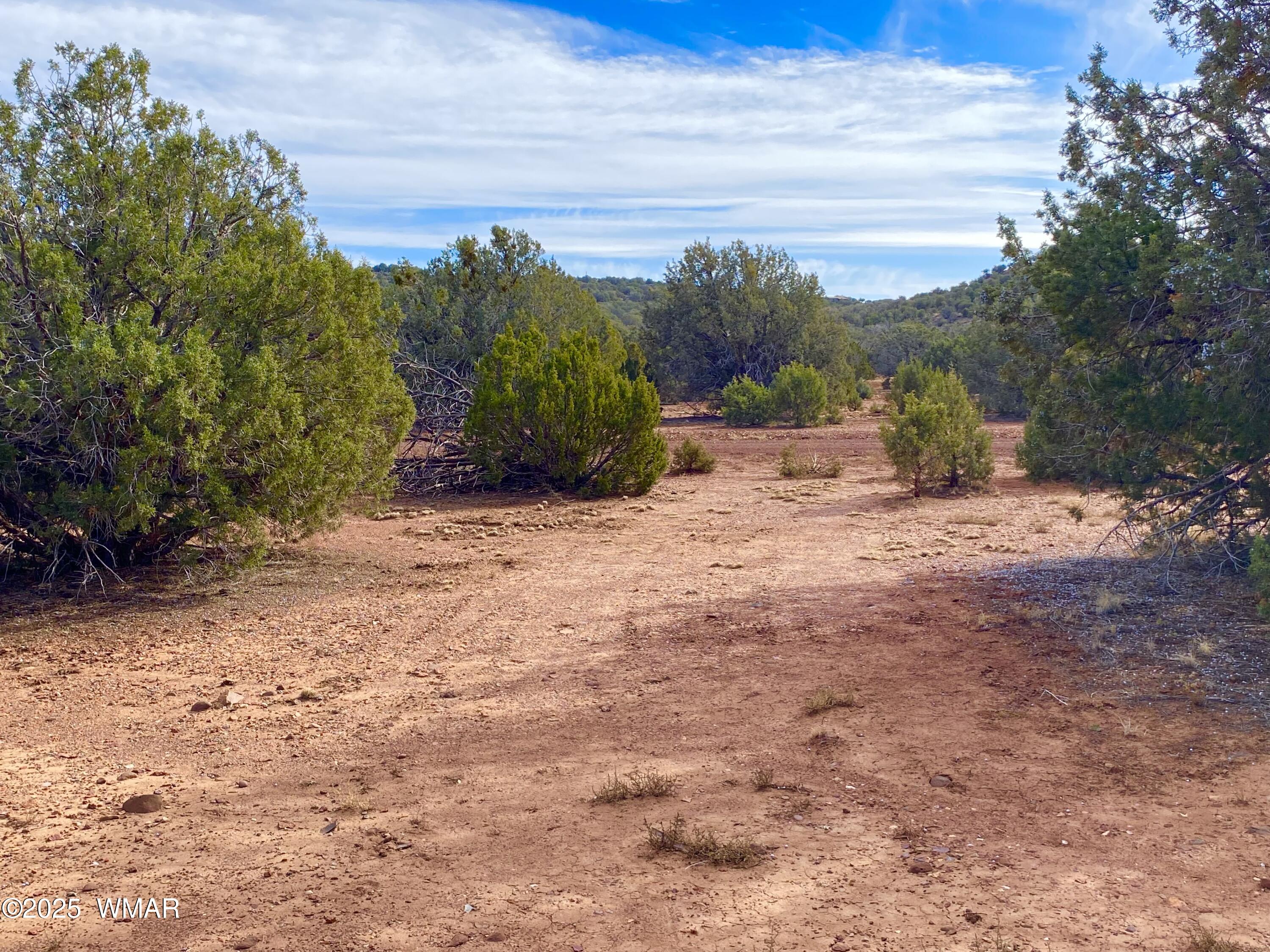 8271 Concho Az 85924 Show Low, AZ 85901 - Photo 13 of 18 a view of a dry yard with trees