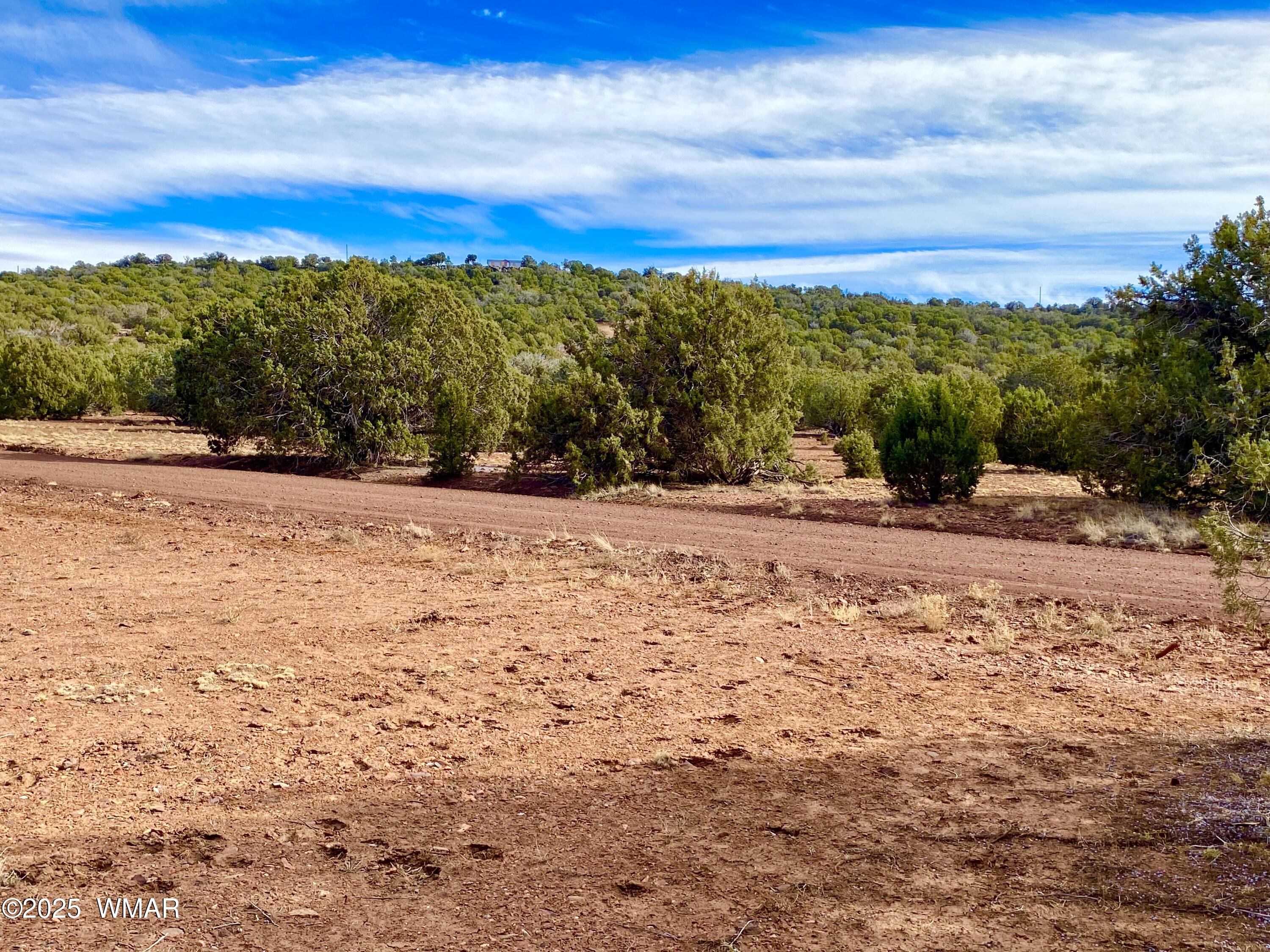 8271 Concho Az 85924 Show Low, AZ 85901 - Photo 14 of 18 a view of the road