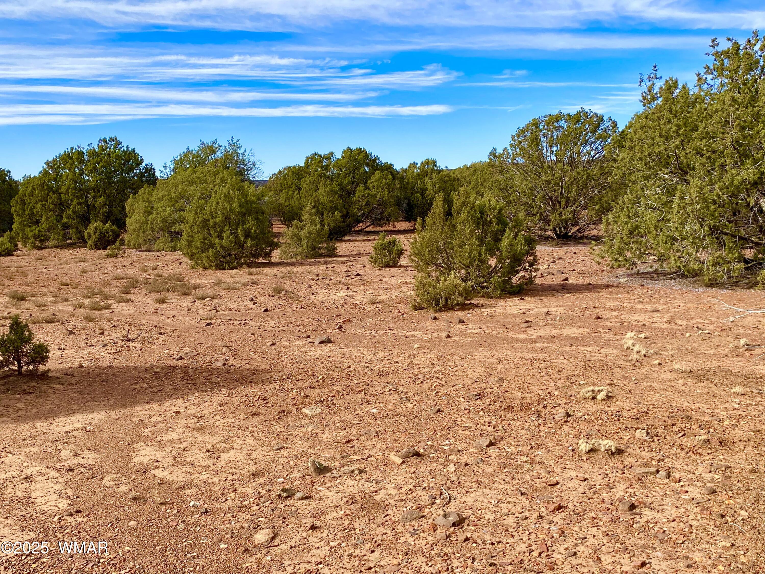 8271 Concho Az 85924 Show Low, AZ 85901 - Photo 15 of 18 a view of a dry yard with wooden fence