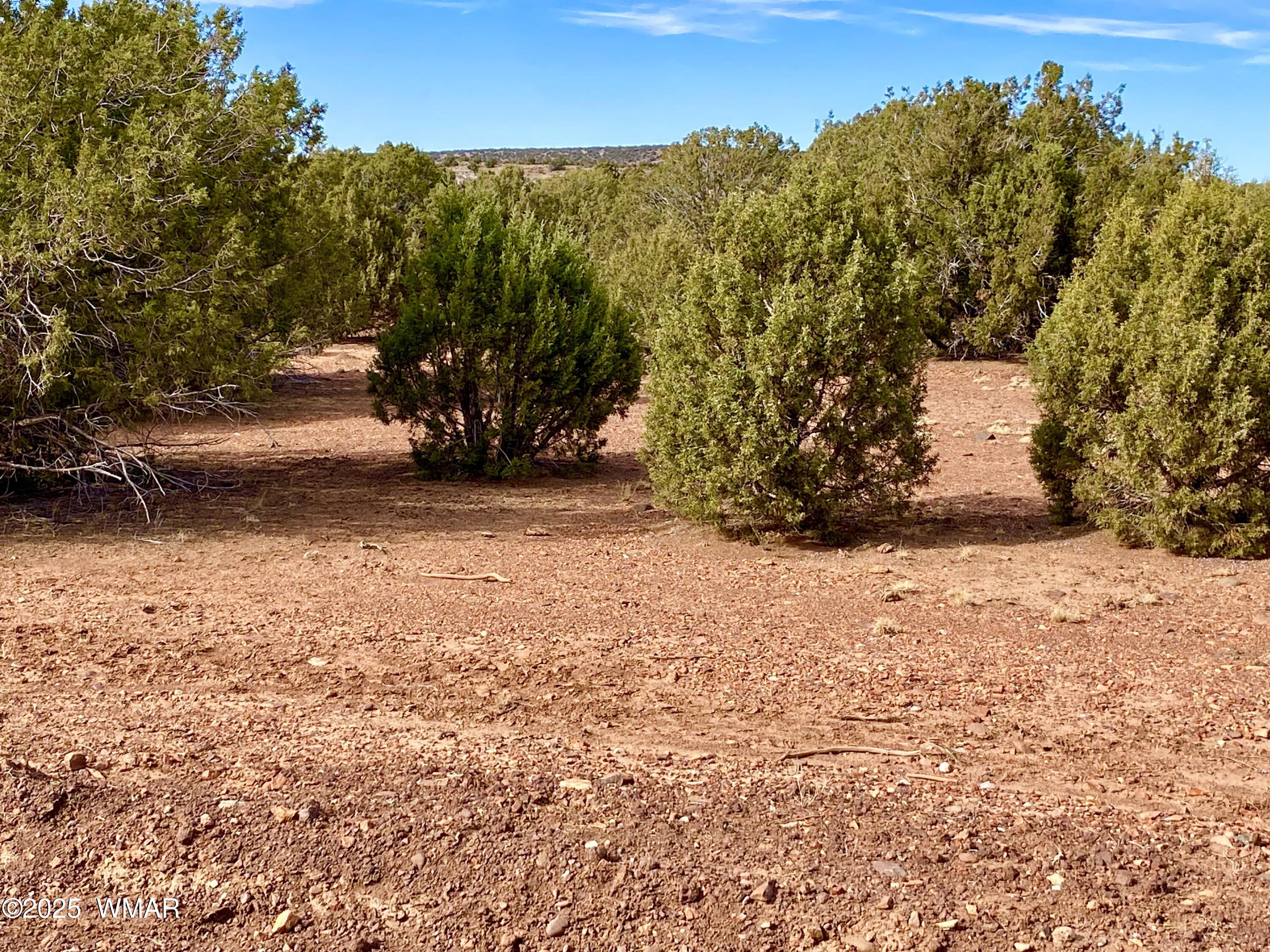 8271 Concho Az 85924 Show Low, AZ 85901 - Photo 17 of 18 a view of outdoor space and yard