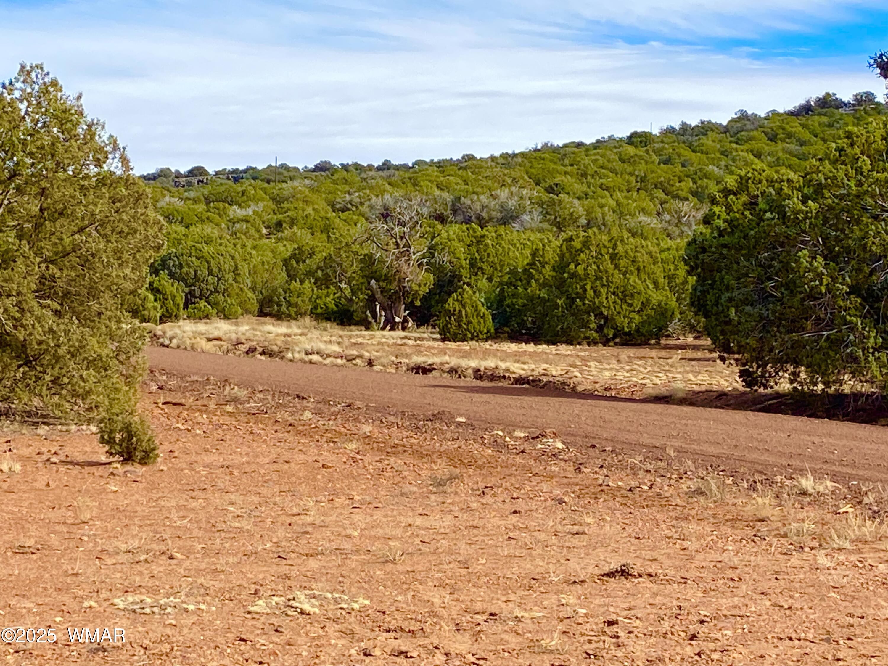 8271 Concho Az 85924 Show Low, AZ 85901 - Photo 2 of 18 a view of a road with an ocean view