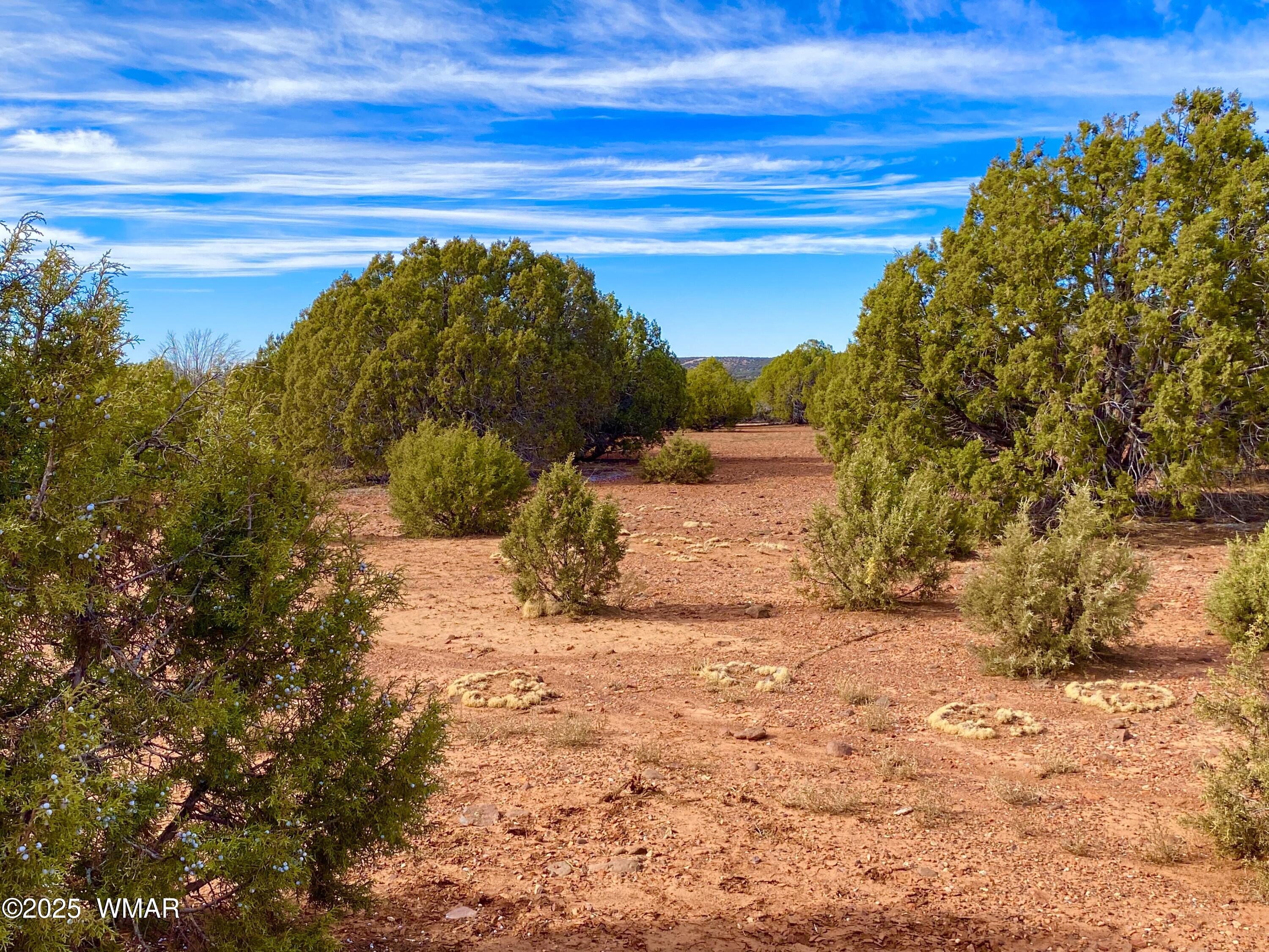 8271 Concho Az 85924 Show Low, AZ 85901 - Photo 3 of 18 a view of a yard with an empty space