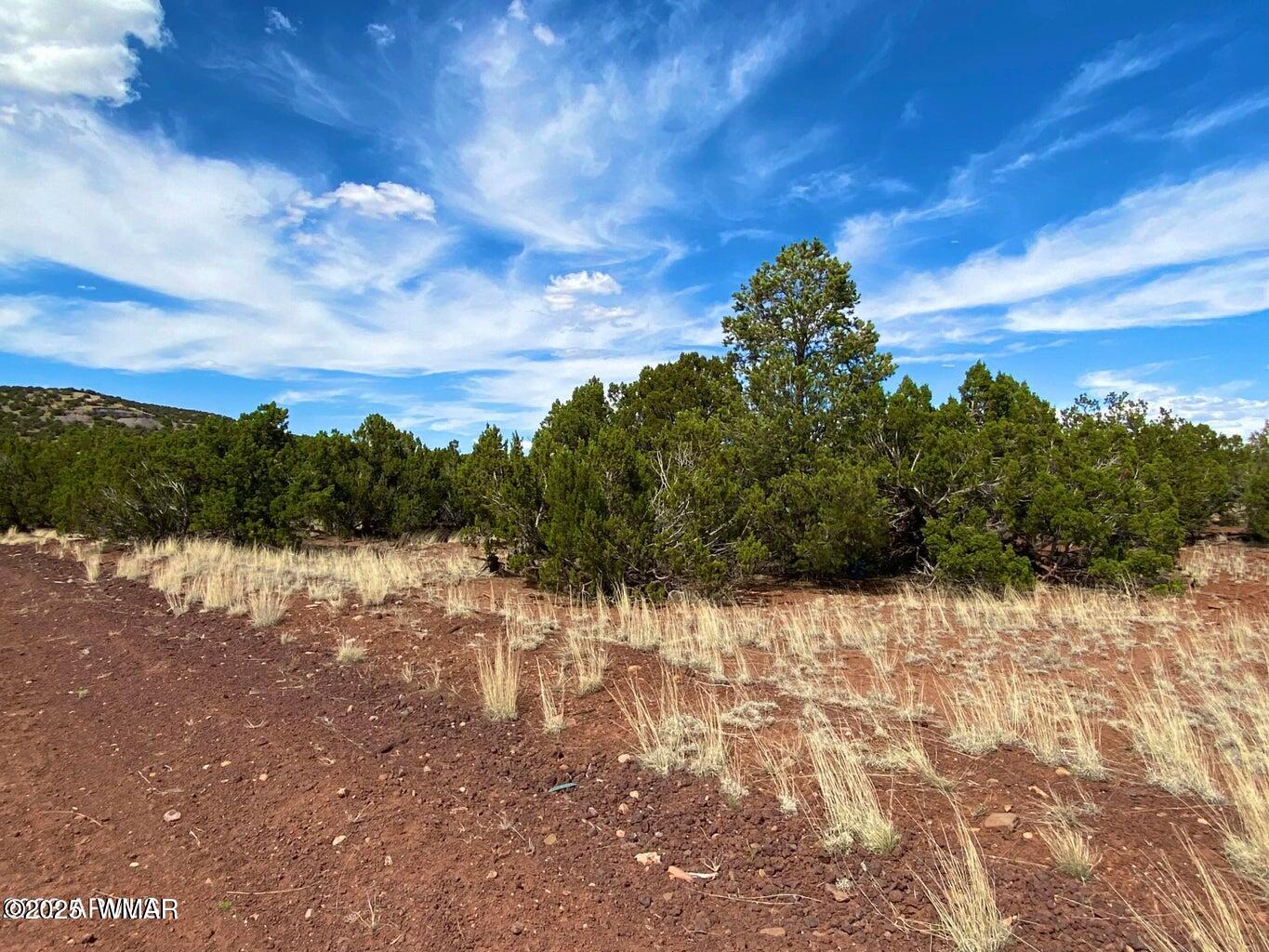 8271 Concho Az 85924 Show Low, AZ 85901 - Photo 4 of 18 a view of a lake view