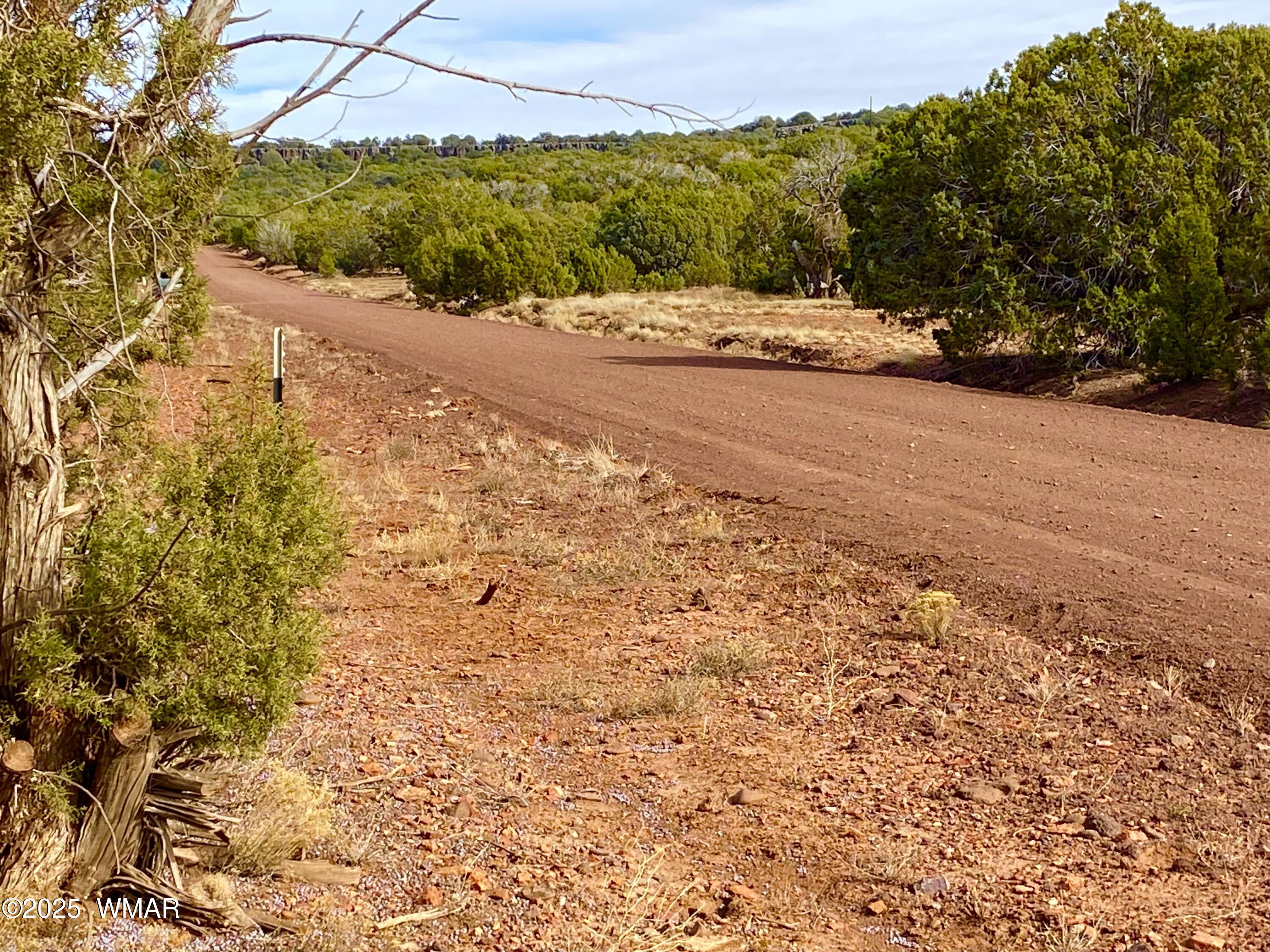 8271 Concho Az 85924 Show Low, AZ 85901 - Photo 5 of 18 a view of a road with a yard