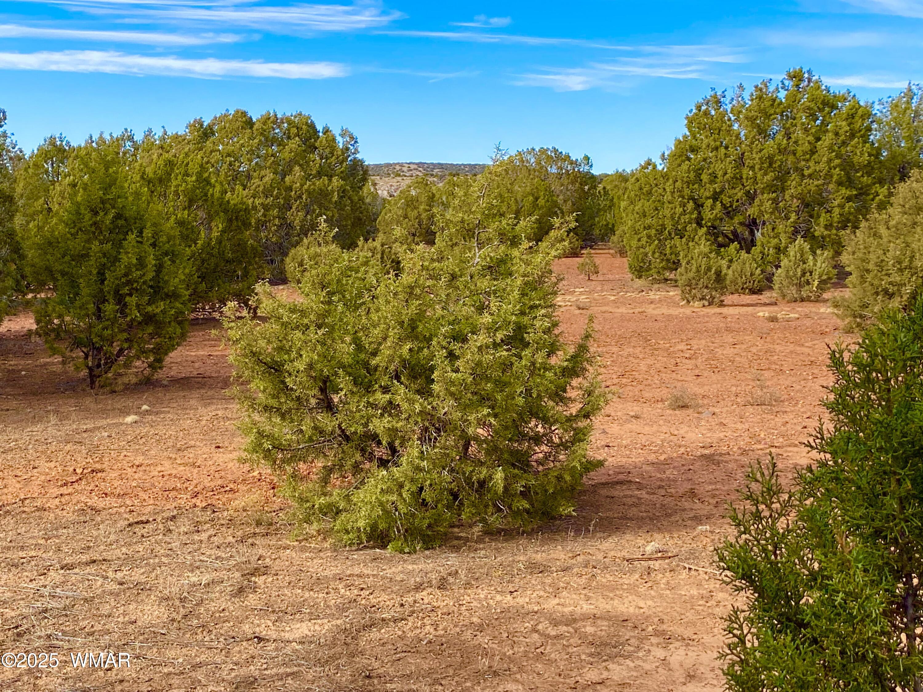 8271 Concho Az 85924 Show Low, AZ 85901 - Photo 6 of 18 a view of a yard with an ocean view