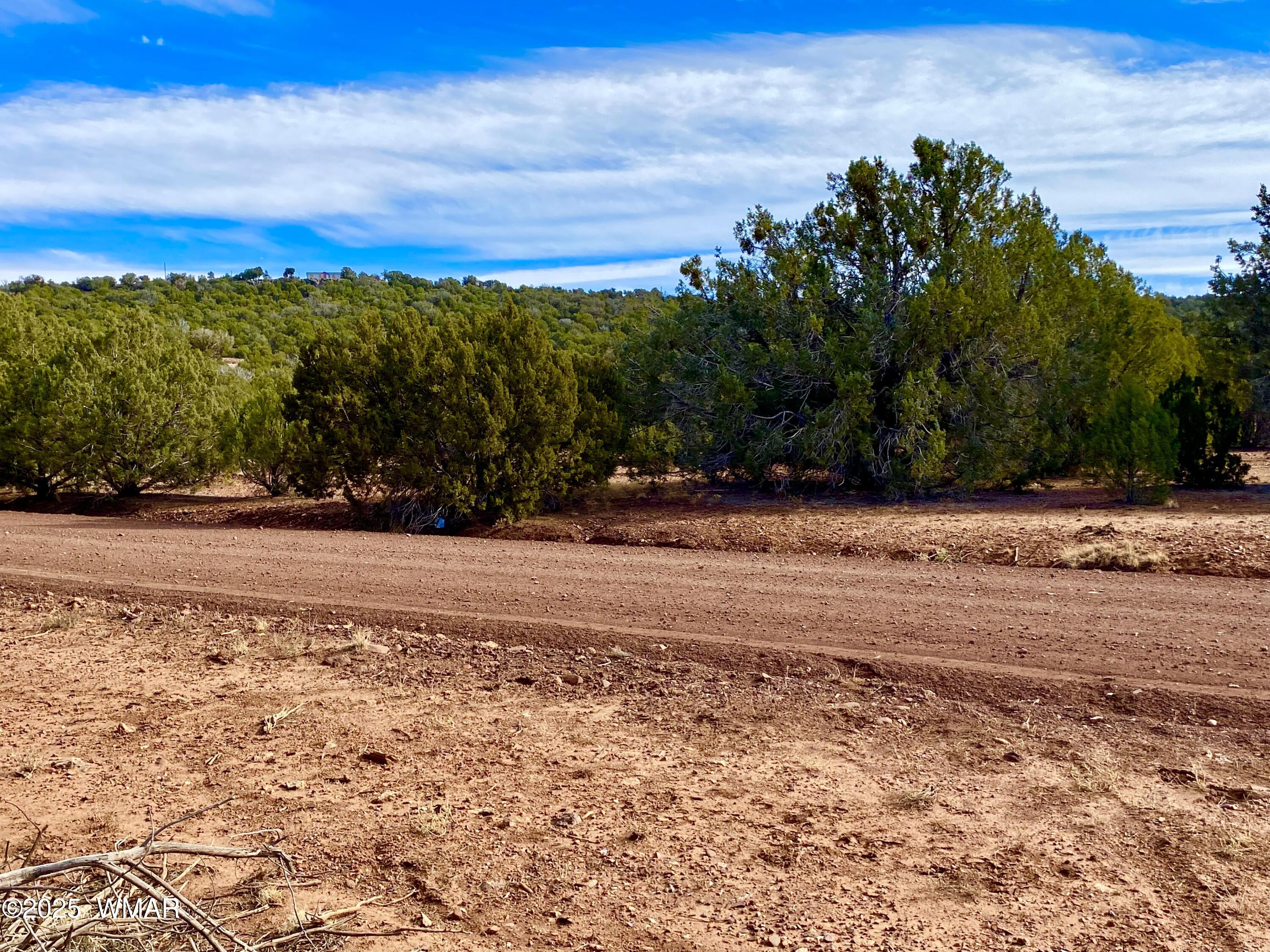 8271 Concho Az 85924 Show Low, AZ 85901 - Photo 7 of 18 a view of a yard with a car parked