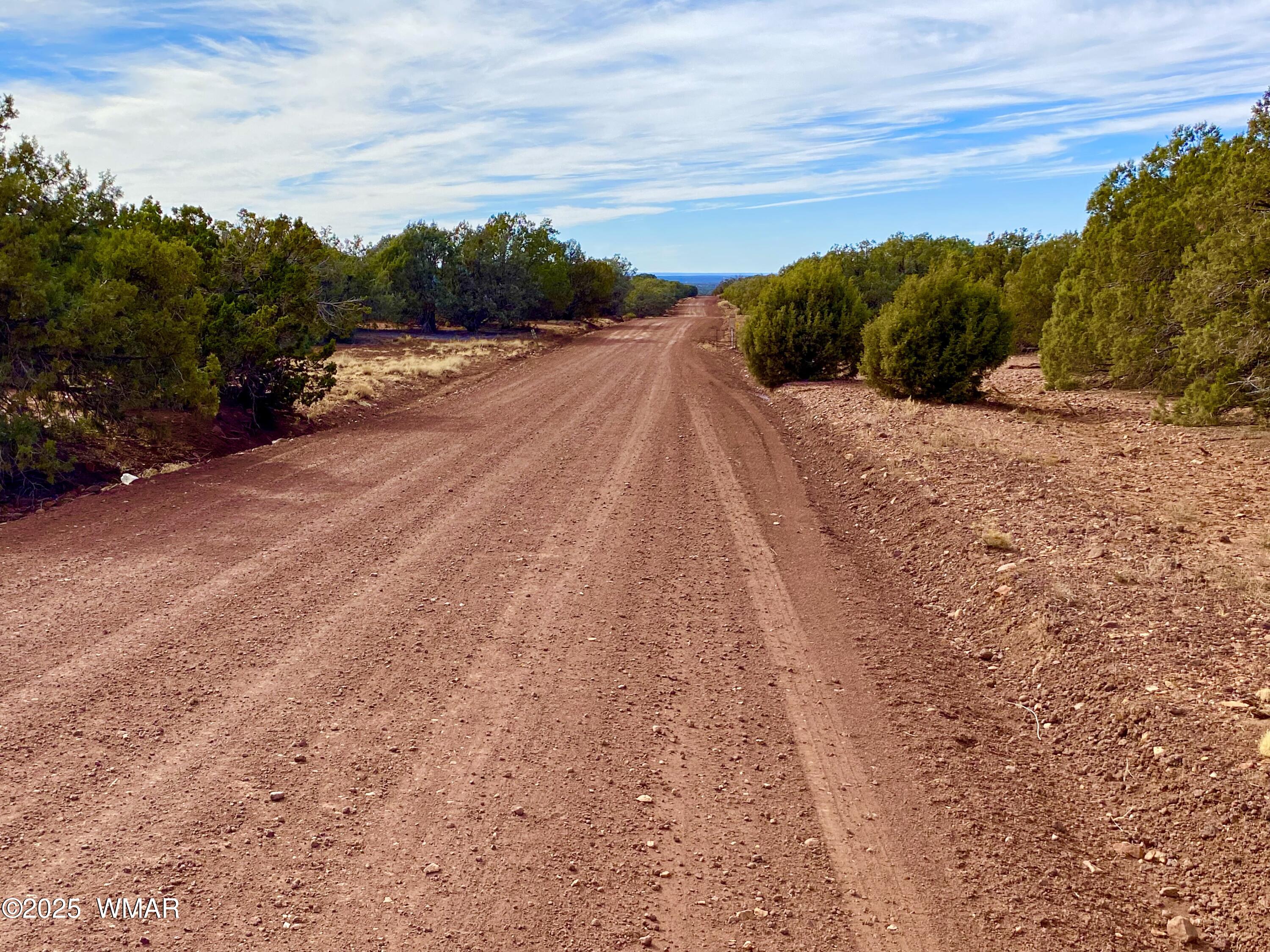 8271 Concho Az 85924 Show Low, AZ 85901 - Photo 8 of 18 a view of a dry yard with wooden fence