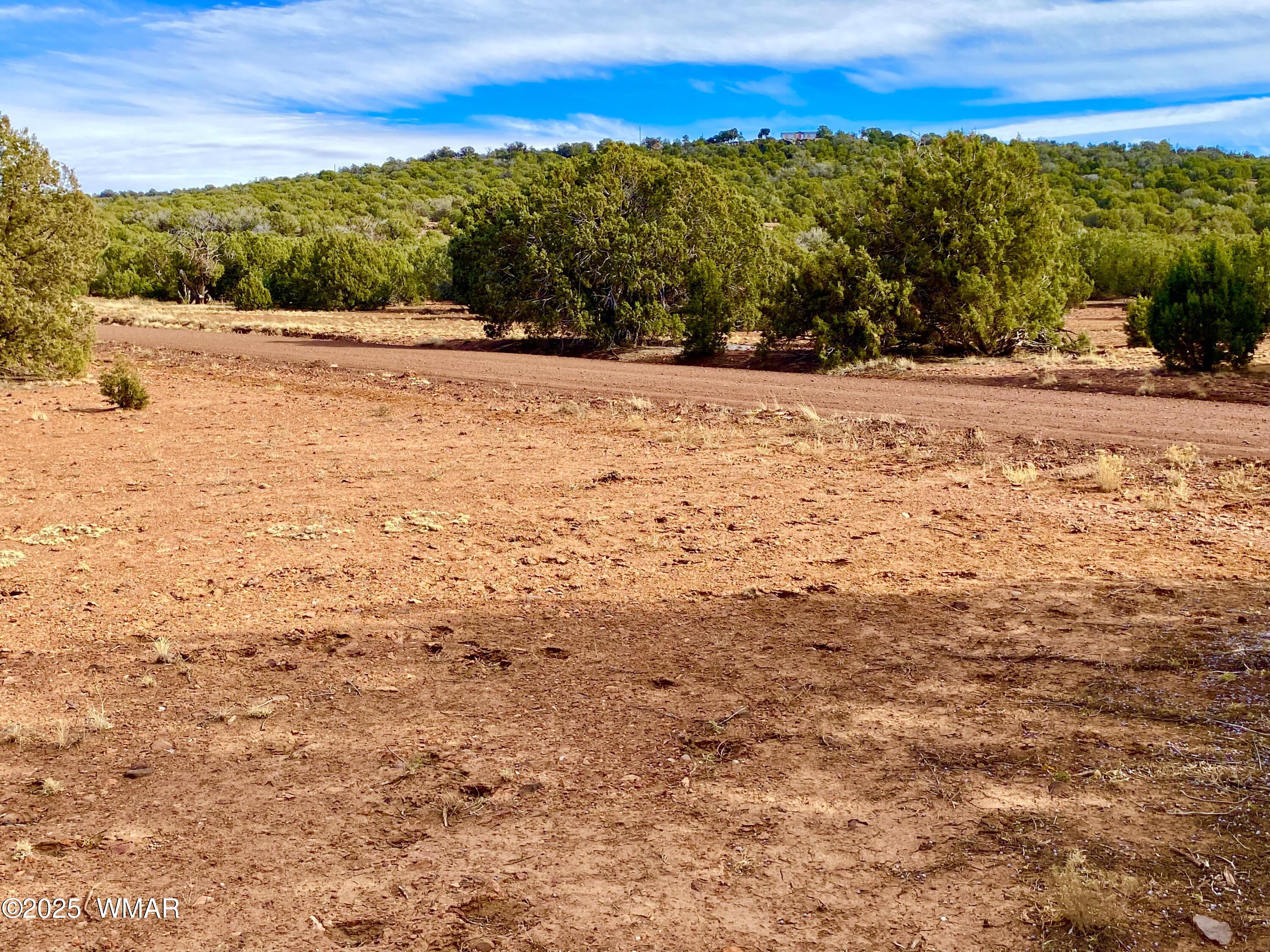 8271 Concho Az 85924 Show Low, AZ 85901 - Photo 9 of 18 a view of an outdoor space and a yard