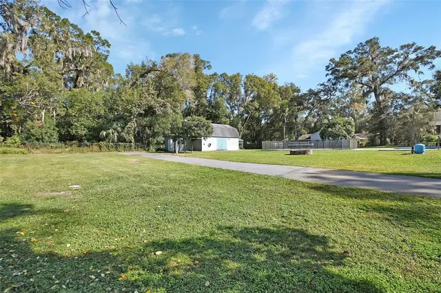 a view of a park with large trees