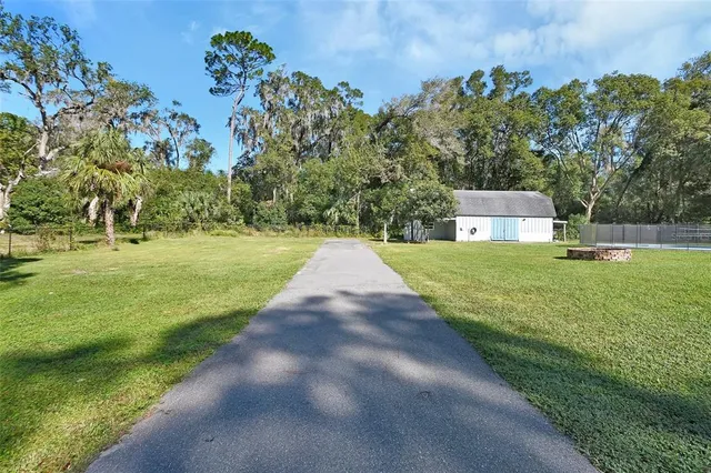 a garden with trees in the background
