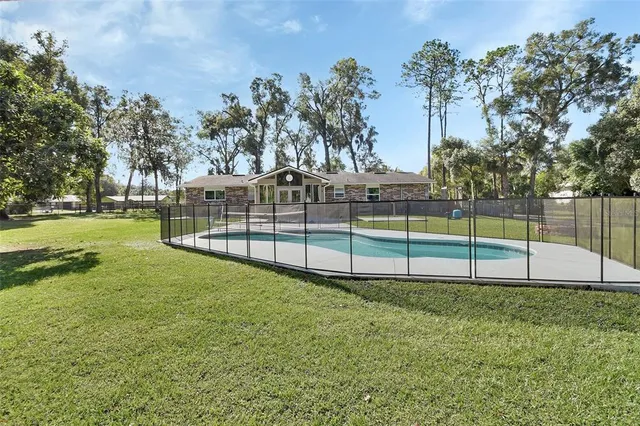 a view of a yard with plants