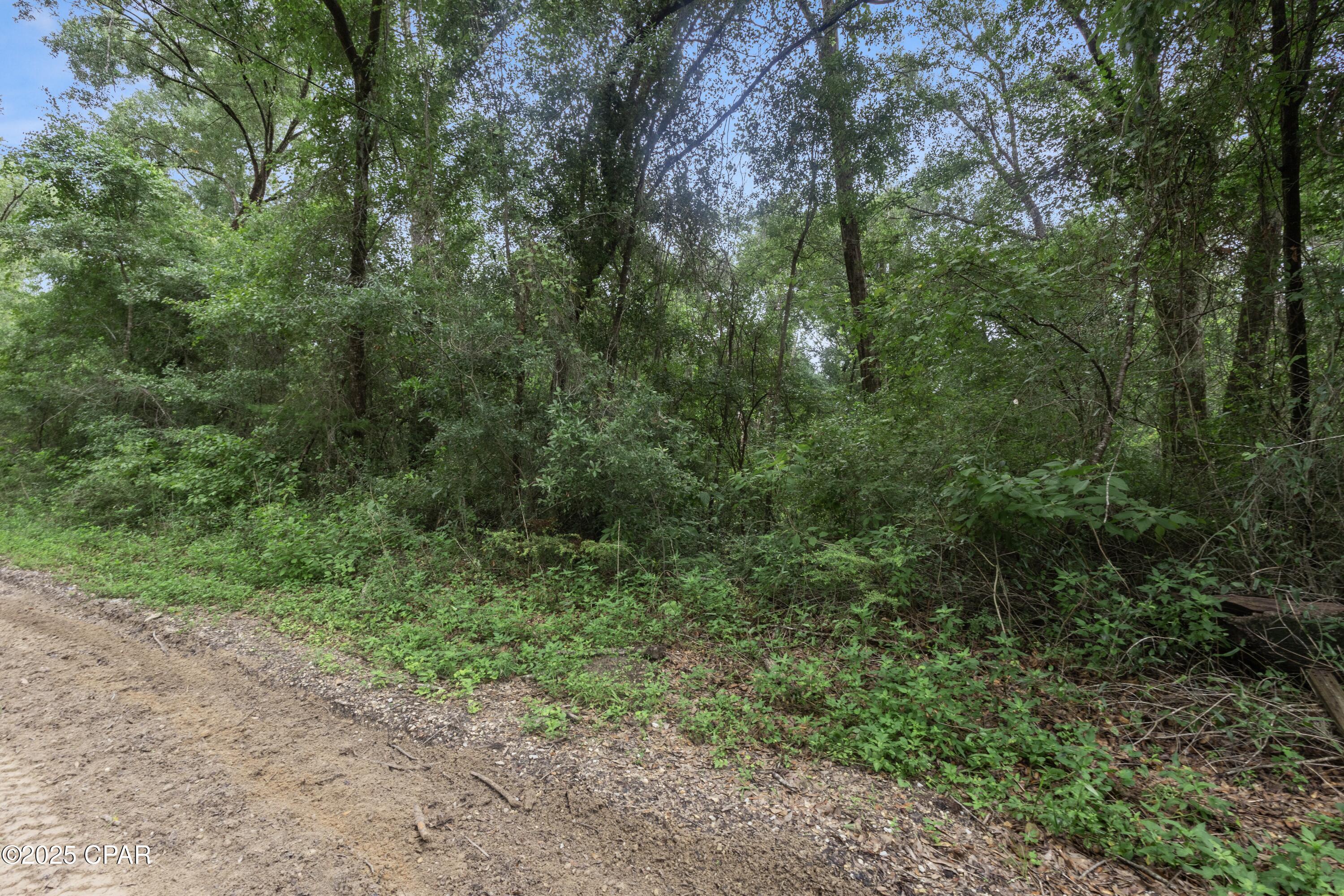 Tba Wages Pond Road Chipley, FL 32428 - Photo 3 of 6