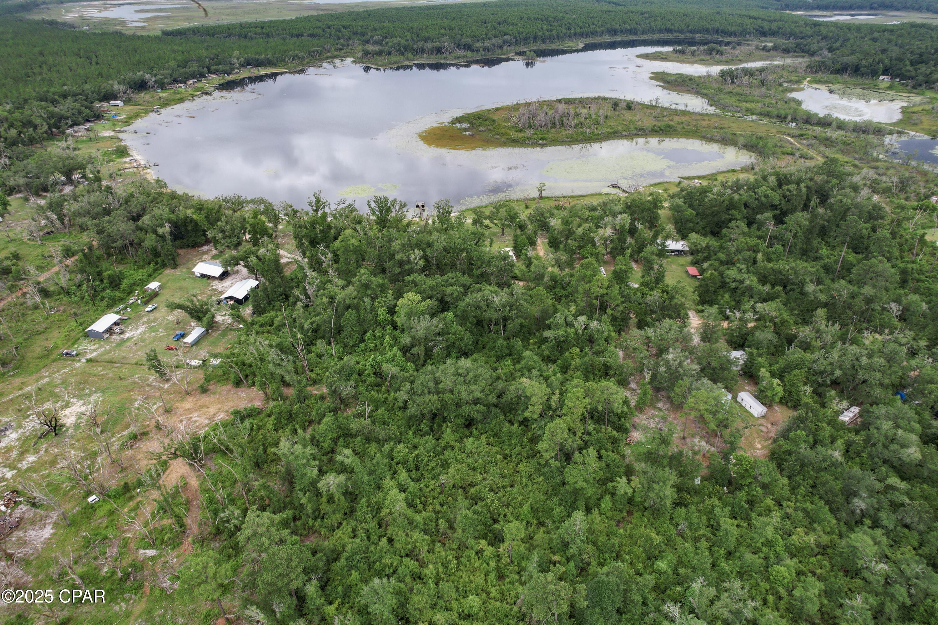 Tba Wages Pond Road Chipley, FL 32428 - Photo 4 of 6