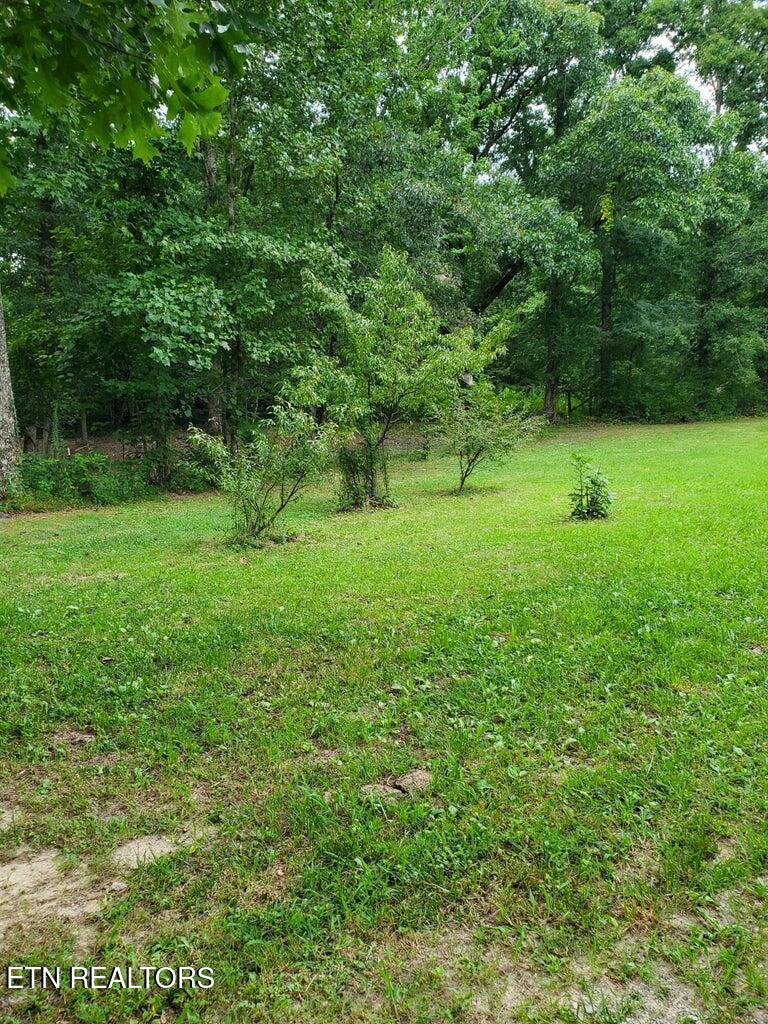 103 Stooping Oak Road Dunlap, TN 37327 - Photo 10 of 33 20260828172314540718000000-o