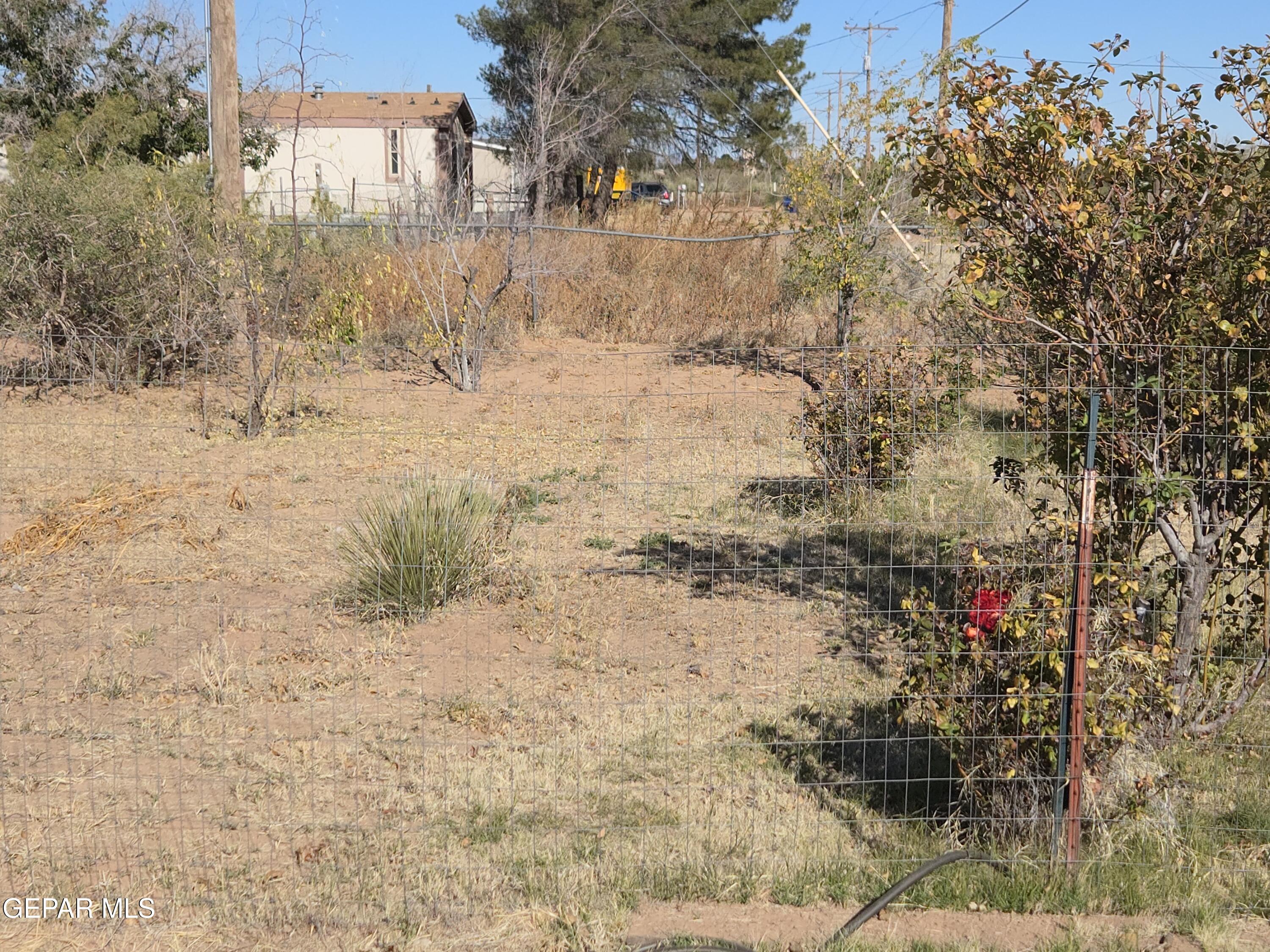 625 Tumbleweed Road Chaparral, NM 88081 - Photo 3 of 17 a view of a yard covered in snow