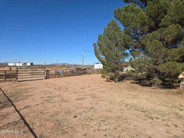 a view of a dry yard with wooden fence