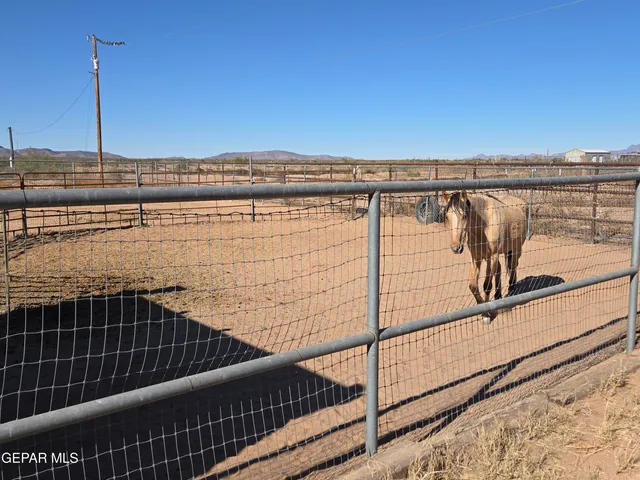 a view of a ocean beach