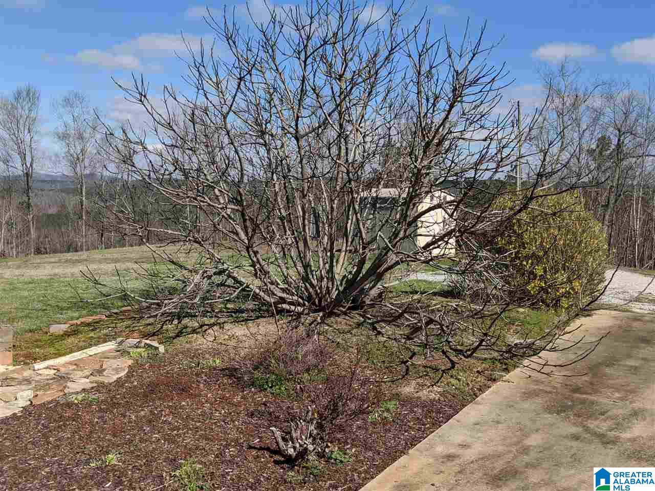 1731 Bolton Road Talladega, AL 35160 - Photo 10 of 46
