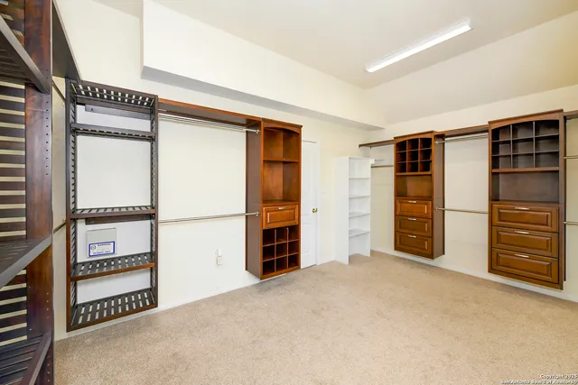 a view of a backyard with a tree