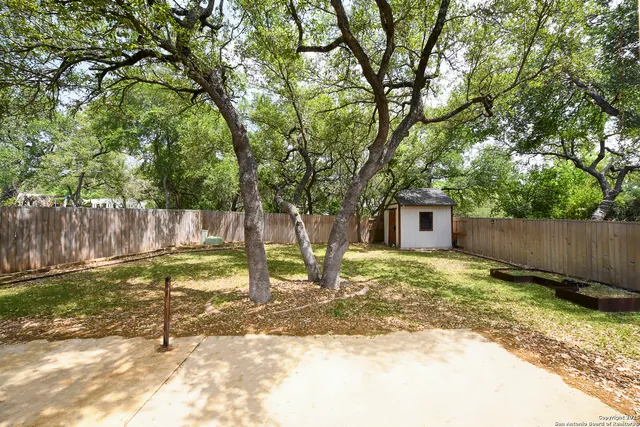 a view of a backyard with a tree
