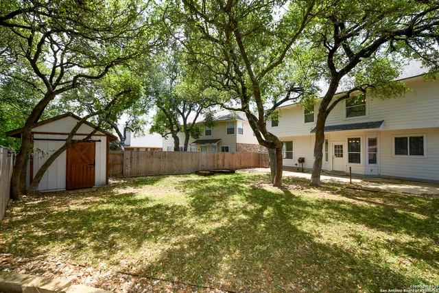 a view of a backyard with a tree
