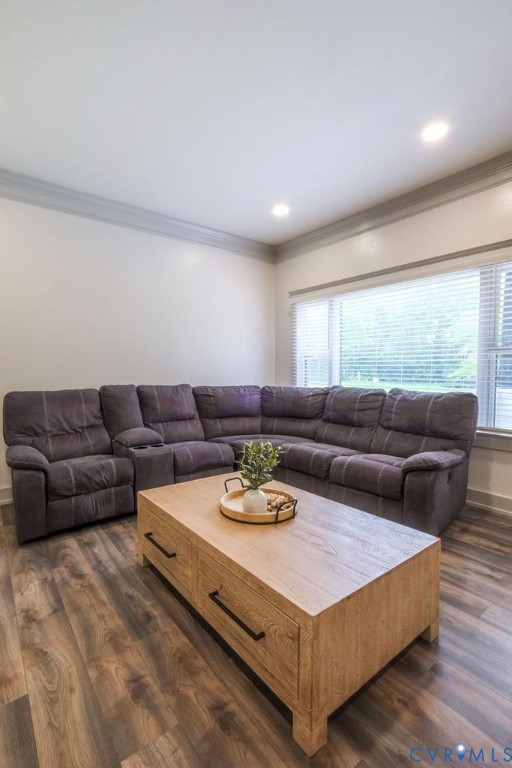 3331 South Constitution Route Dillwyn, VA 23936 - Photo 18 of 24 Living room with crown molding, dark wood-style fl