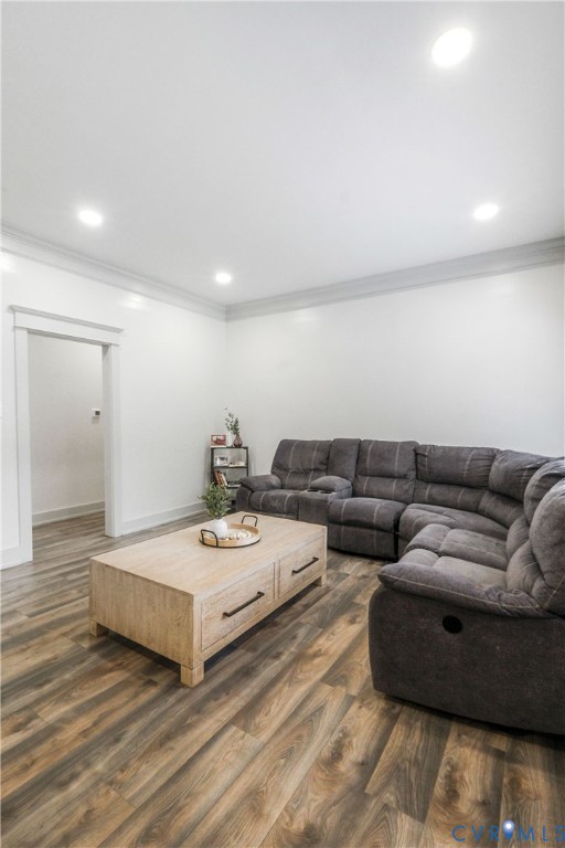3331 South Constitution Route Dillwyn, VA 23936 - Photo 9 of 24 Living room featuring dark wood-style flooring, or