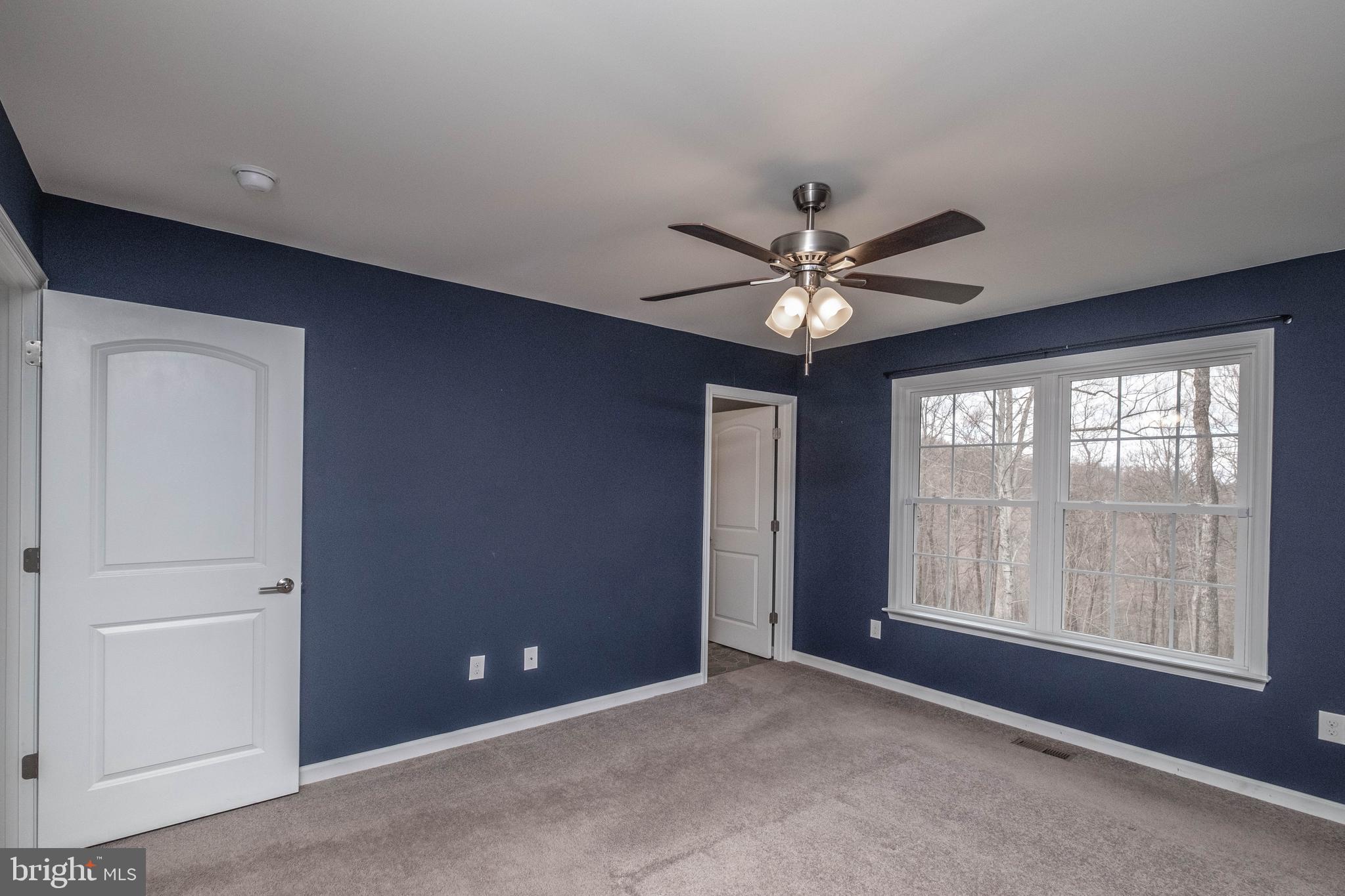 289 Heim-Jones Road Linden, VA 22642 - Photo 30 of 59 Gallery Image 30