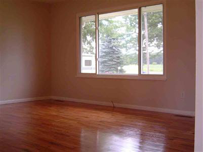 19255 Amman Road Chesaning, MI 48616 - Photo 10 of 15 20207154-9.JPG