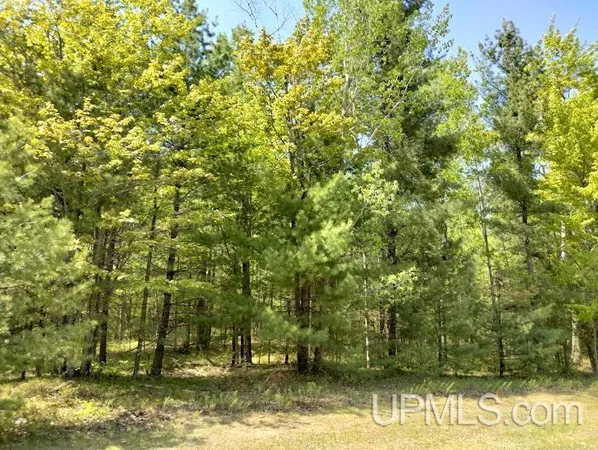 $18,900 | 10431 Breezy R.22 Lane, Rapid River, MI 49878