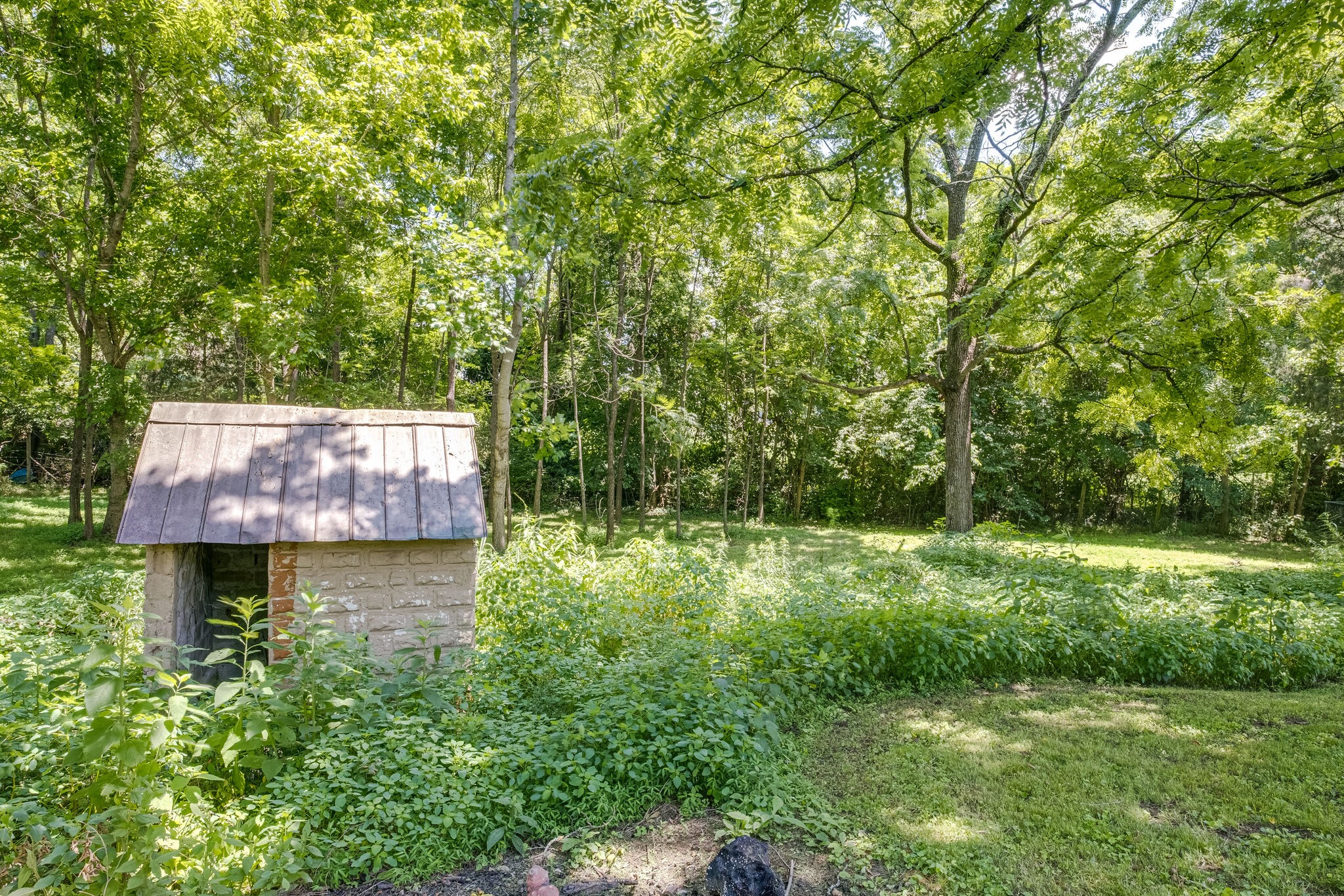 353 Beckwith Road Mount Juliet, TN 37122 - Photo 10 of 26 a backyard of a house with lots of green space