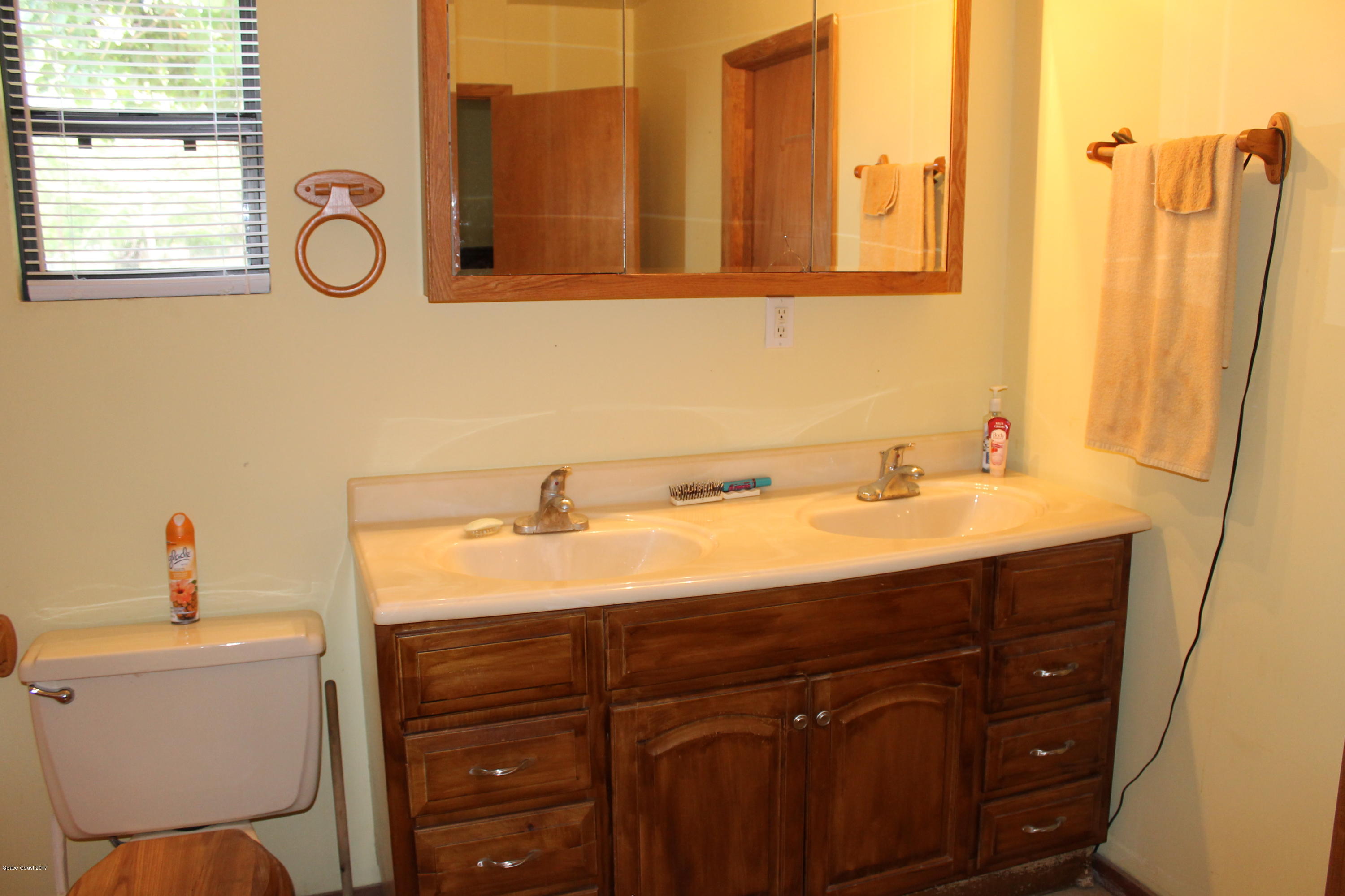3575 Carter Road Mims, FL 32754 - Photo 11 of 30 Master Bath