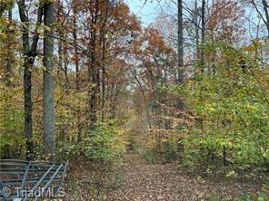0 Aladdin Road Pfafftown, NC 27040 - Photo 14 of 17