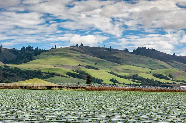 120 Edenvale Road Watsonville, CA 95076 - Photo 68 of 68 a view of a lake with a mountain