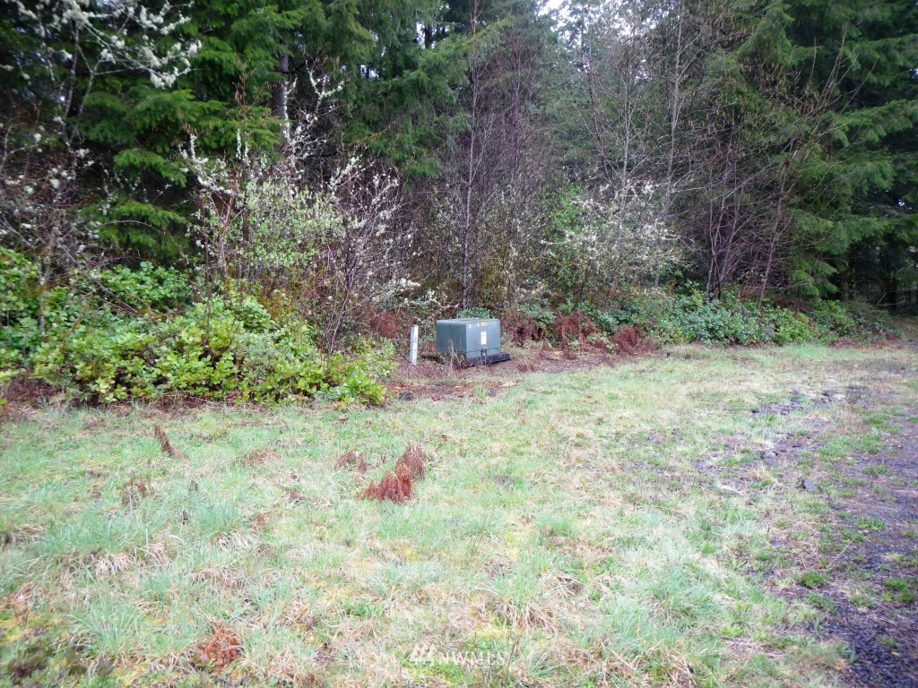 1233 Middle Fork Road Onalaska, WA 98570 - Photo 20 of 25 Gallery Image 20