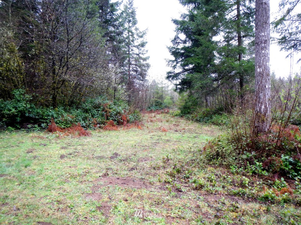 1233 Middle Fork Road Onalaska, WA 98570 - Photo 21 of 25 Gallery Image 21