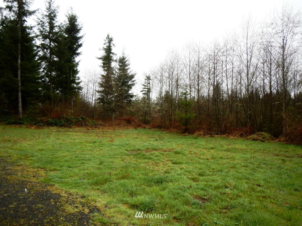 1233 Middle Fork Road Onalaska, WA 98570 - Photo 22 of 25 Gallery Image 22