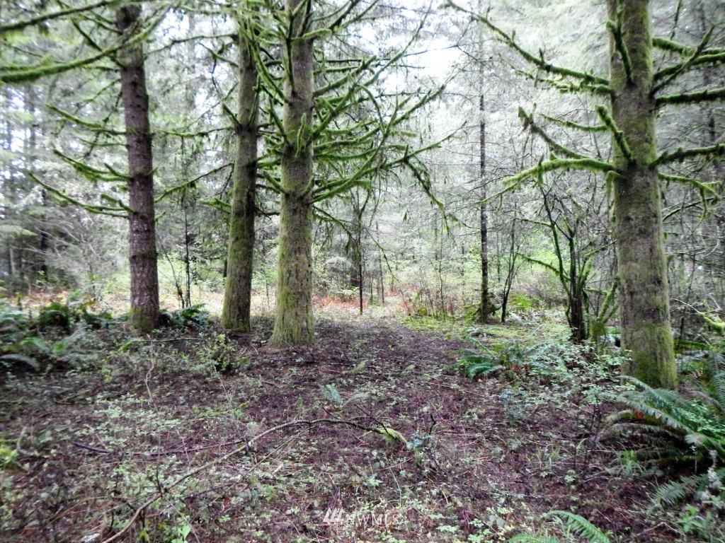 1233 Middle Fork Road Onalaska, WA 98570 - Photo 23 of 25 Gallery Image 23