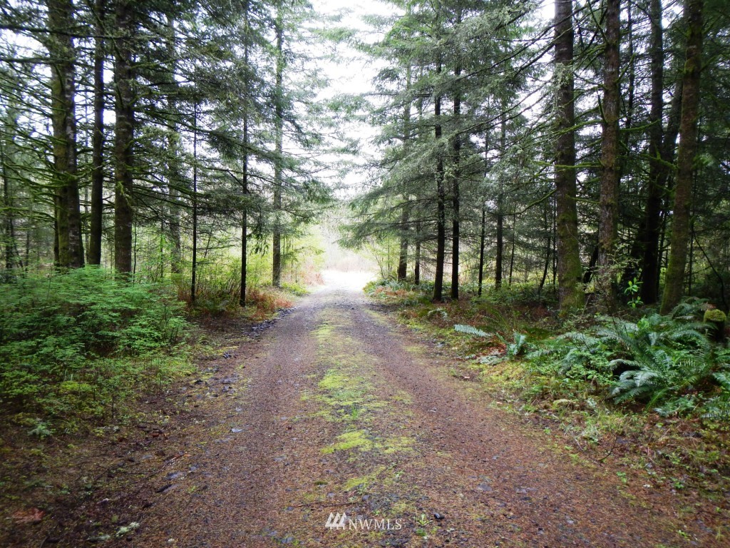 1233 Middle Fork Road Onalaska, WA 98570 - Photo 24 of 25 Gallery Image 24