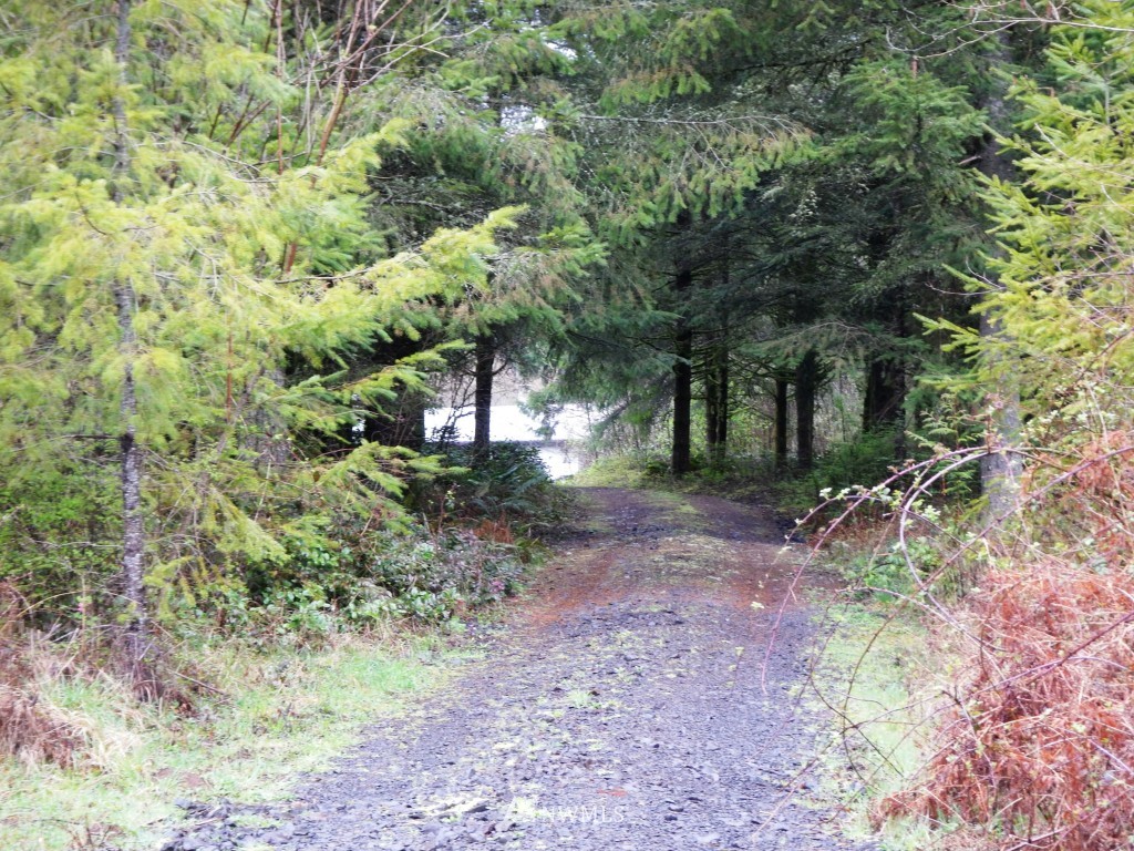1233 Middle Fork Road Onalaska, WA 98570 - Photo 25 of 25 Gallery Image 25