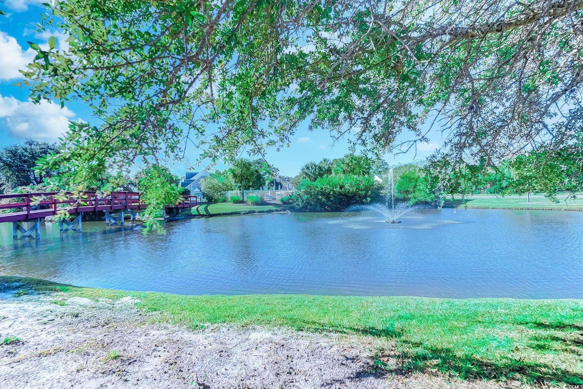 931 Williston Loop, Unit 931 Murrells Inlet, SC 29576 - Photo 36 of 37 Gallery Image 36