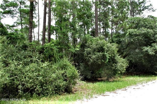 415 Whispering Pines Road Georgetown, FL 32139 - Photo 6 of 8 IMG_6218