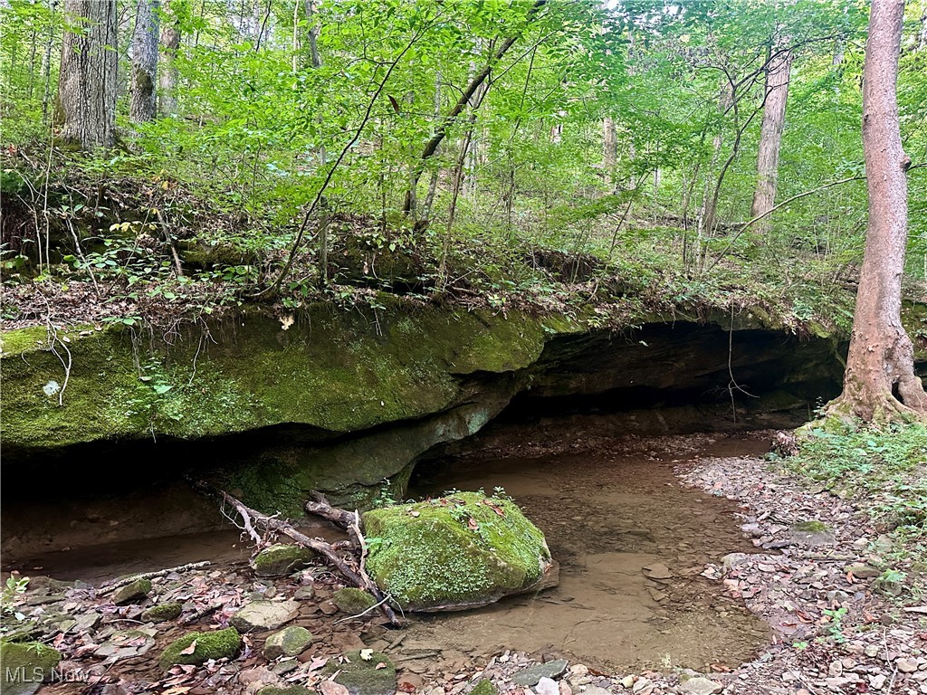 200 Frakes Road Lower Salem, OH 45745 - Photo 39 of 50 View of local wilderness