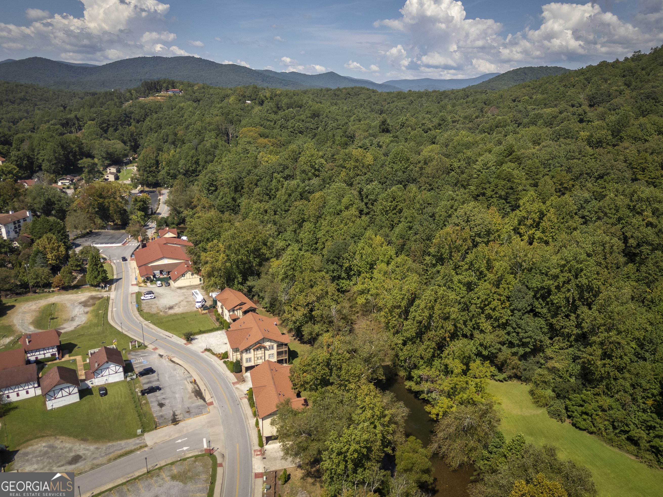 892 Edelweiss Strasse Helen, GA 30545 - Photo 9 of 91