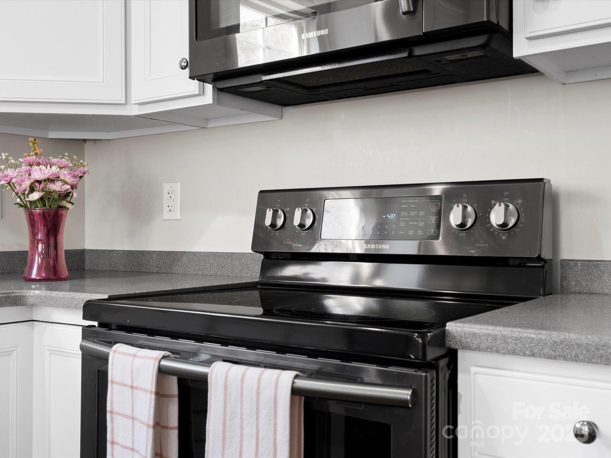 421 Silver Cypress Lane Fort Mill, SC 29708 - Photo 20 of 37 a close view of stove top oven