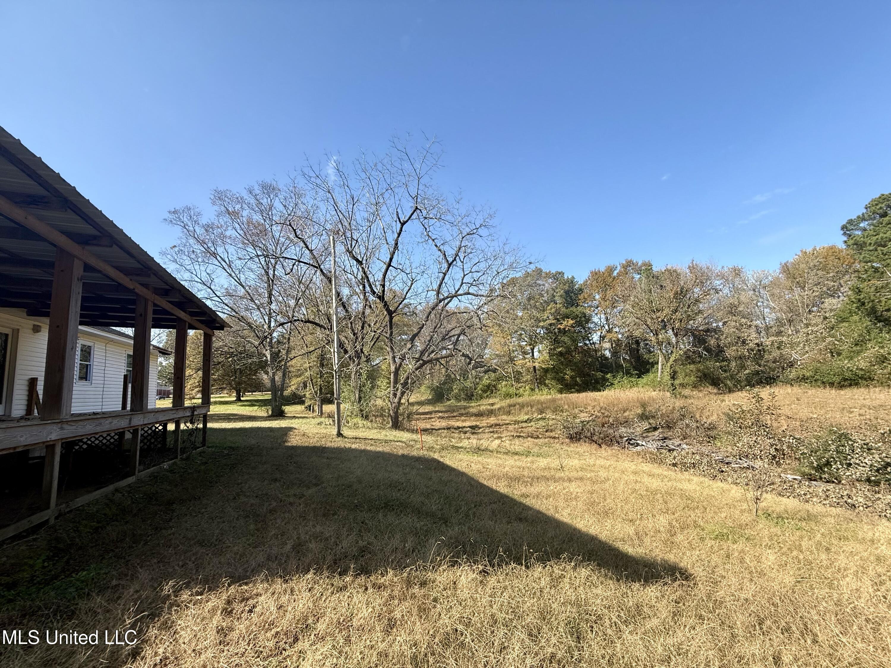 970 Ripley Avenue Ashland, MS 38603 - Photo 18 of 24 Backyard