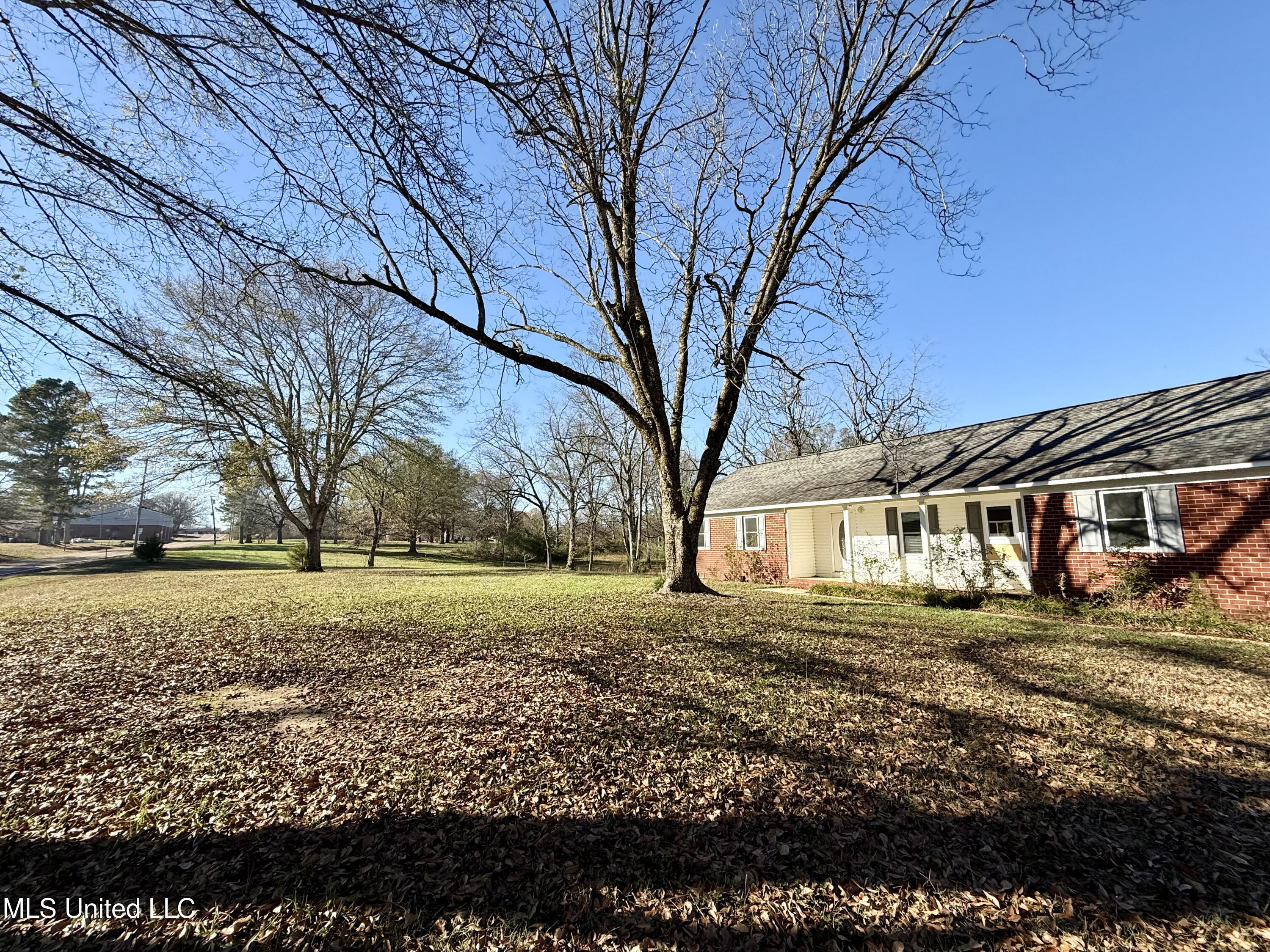 970 Ripley Avenue Ashland, MS 38603 - Photo 23 of 24 Front Yard View