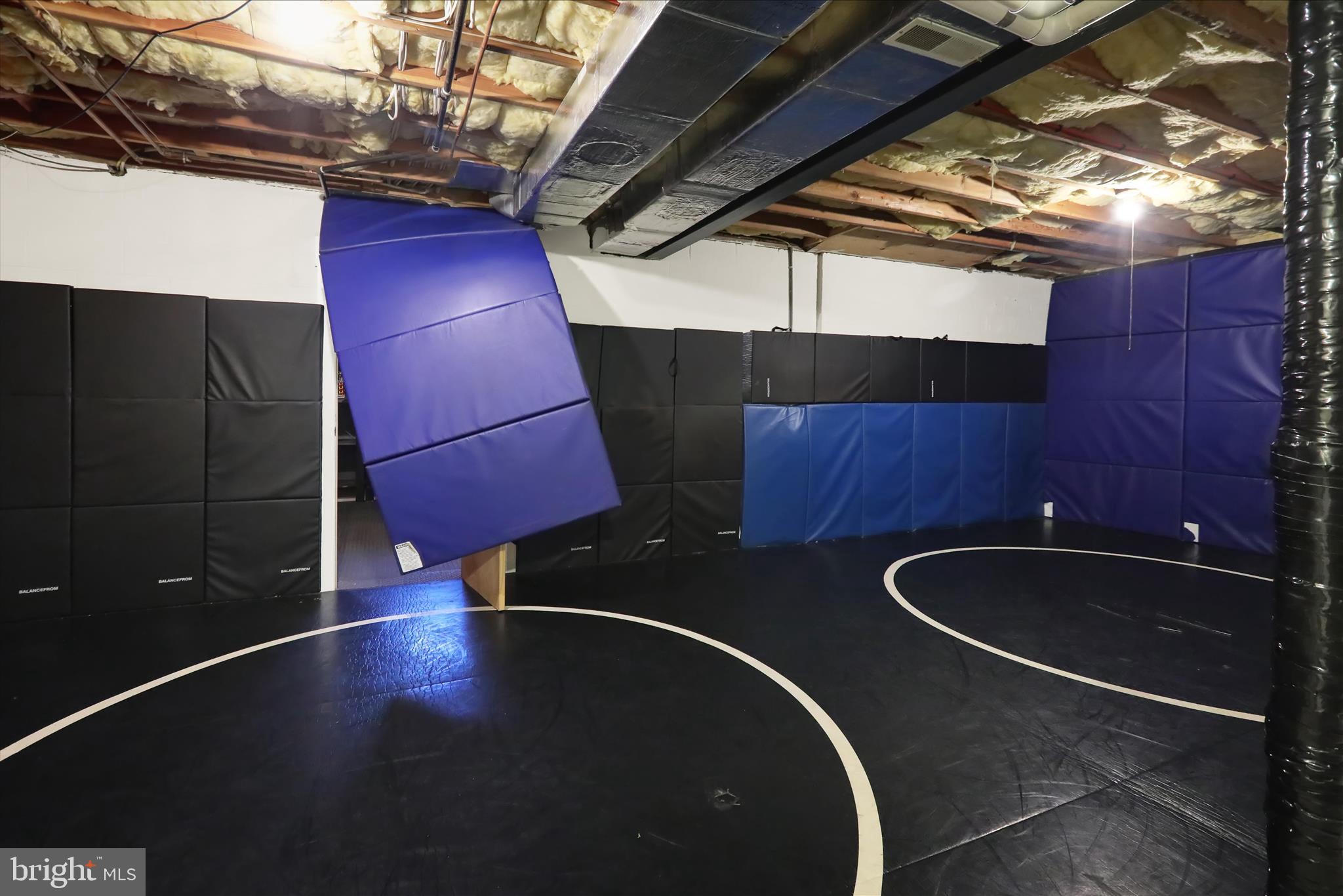 1635 Meadowlark Road Reading, PA 19610 - Photo 44 of 59 Basement