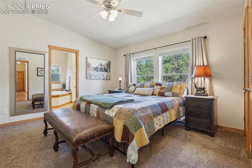 738 Rangeview Road Divide, CO 80814 - Photo 16 of 33