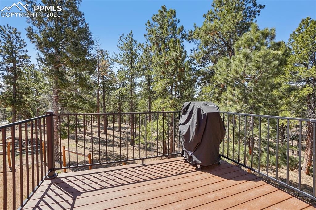 738 Rangeview Road Divide, CO 80814 - Photo 23 of 33